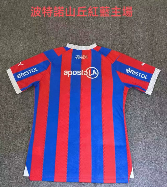 Cerro Porteno Home Fans Football Jersey 2024/2025