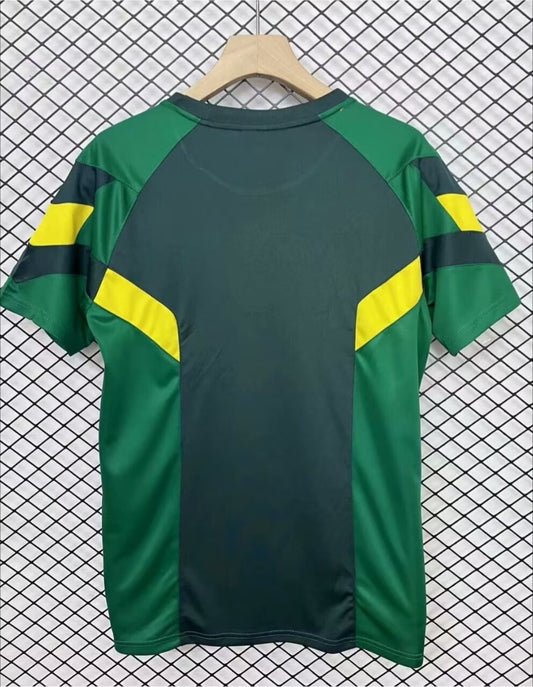 Celtic Special Edition Fans Football Jersey 2024/2025