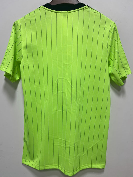Celtic T-shirt Special Edition Fans Football Jersey 2025/2026