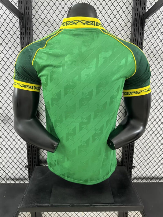 Celtic Retro Commemoration Player Football Jersey 2024/2025