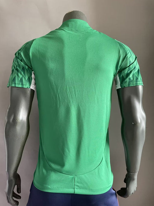 Palmeiras Special Edition Player Football Jersey 2024/2025