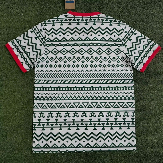 Nigeria Special Edition Fans Football Jersey 2023/2024