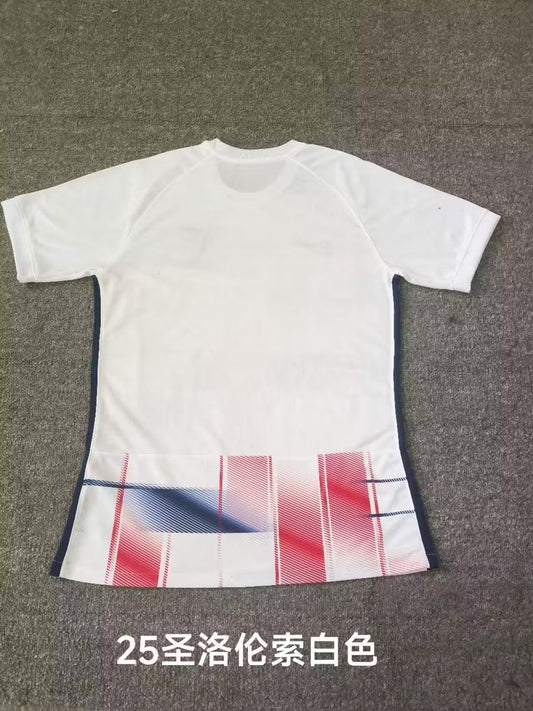 San Lorenzo Away Fans Football Jersey 2024/2025
