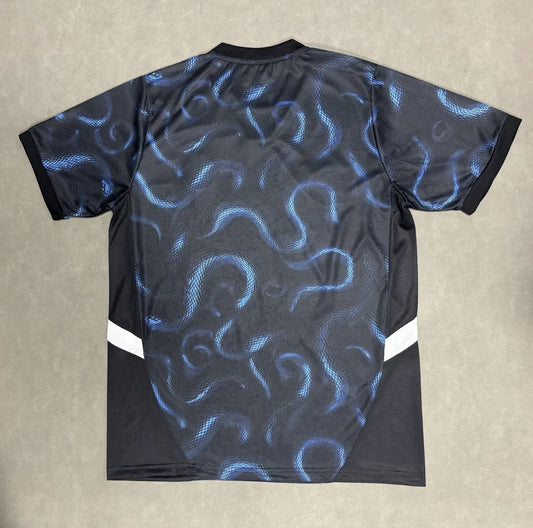 Inter Milan Special Edition Fans Football Jersey 2025/2026