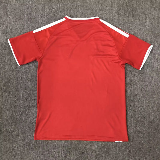 Wales Special Edition Fans Red Football Jersey 2026/2027