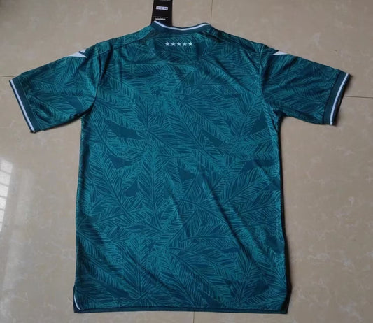 Santiago Wanderers Home Fans Football Jersey 2024/2025