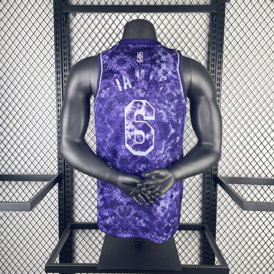 Los Angeles Lakers Purple Honor Edition 6 James Round Neck NBA Jerseys 2023