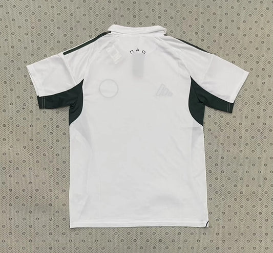 Celtic Special Edition Fans Football Jersey 2025/2026
