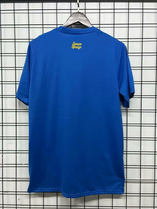 Tiger Retro T-shirt Blue Fans 2025/2026