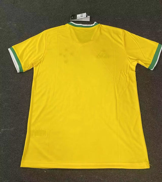 Cruzeiro Training Fans Football Jersey 2025/2026