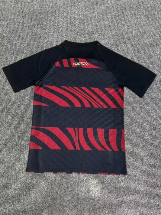 Flamengo Special Edition Fans Football Jersey 2025/2026