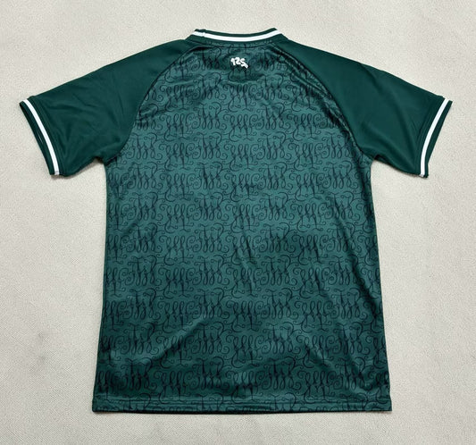 SV Werder Bremen Special Edition Fans Football Jersey 2024/2025