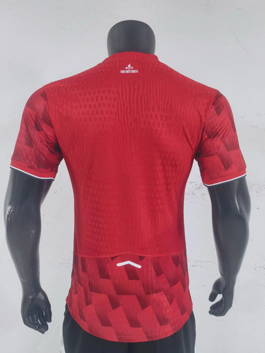 Lille(LOSC) Home Player Football Jersey 2025/2026