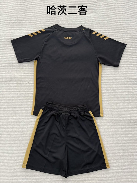Heart Of Midlothian Third (Kids And Men ) Football Jersey 2025/2026