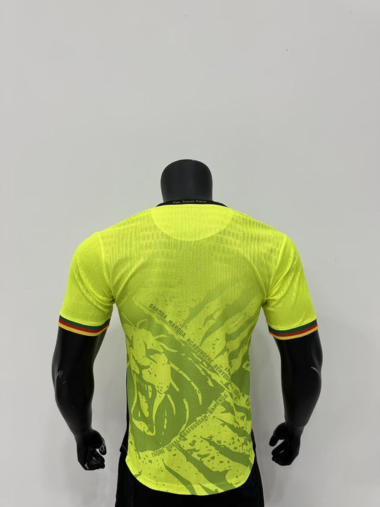Cameroon Special Edition Player Green Football Jersey 2025/2026