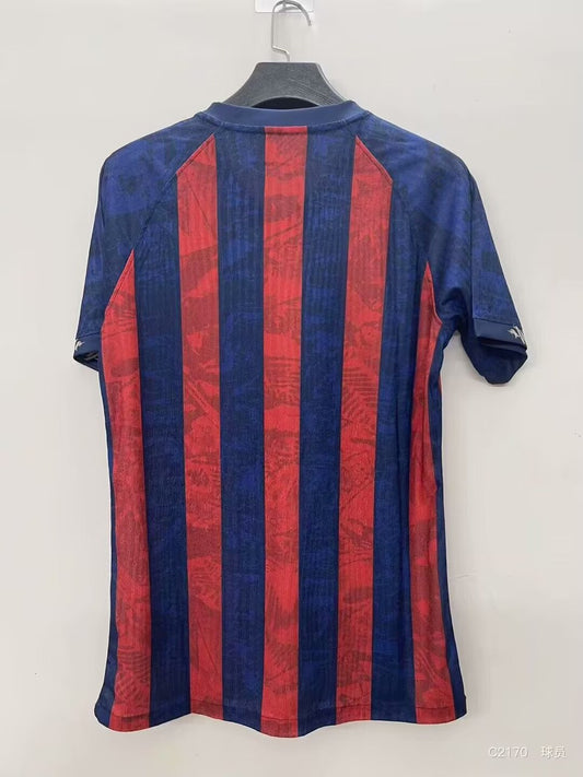 Barcelona Special Edition Fans Football Jersey 2025/2026