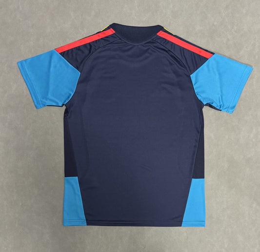 Spain Training Special Edition Player Football Jersey 2026/2027