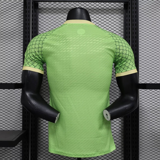 Japan Special Edition Player Football Jersey 2024/2025