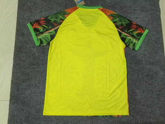 Brazil Special Edition Fans Football Jersey 2025/2026