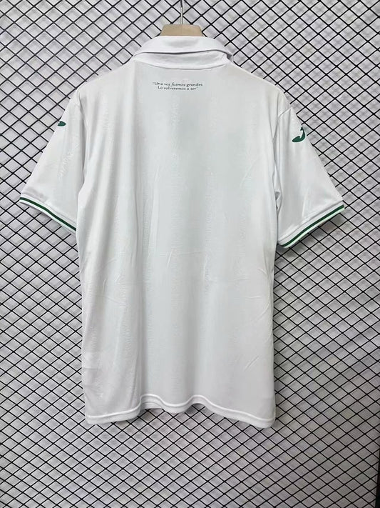 Cordoba CF Special Edition Fans Football Jersey 2024/2025