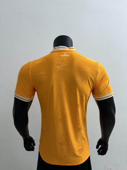 Cote DIvoire Home Player Football Jersey 2025/2026