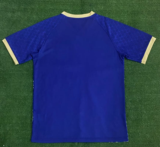 Japan Special Edition Fans Football Jersey 2024/2025