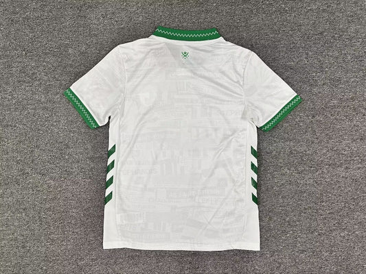 AS Saint-Etienne Third Away Fans Football Jersey 2025/2026