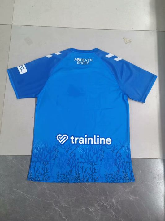 Real Betis Blue Anniversary Edition Fans Football Jersey 2025/2026