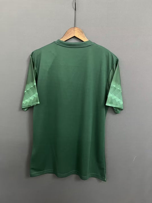 Mexico Pre-competition Fans Football Jersey 2022/2023