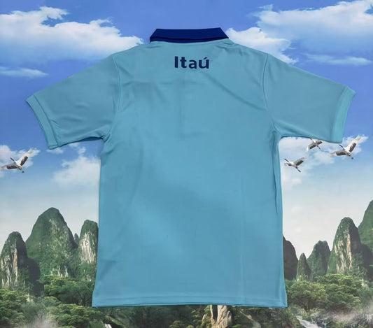 Brazil Polo Fans Blue Football Jersey 2025/2026