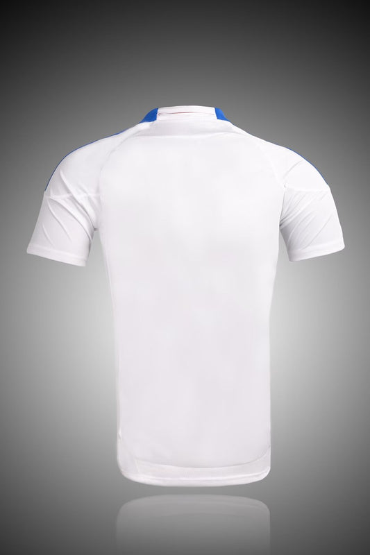 Retro Lyon Home 60 Year Fans Football Jersey 2010/2011