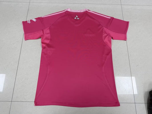 Granada CF Special Edition Fans Football Jersey 2025/2026