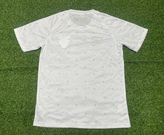 Celtic Special Edition Fans Football Jersey 2023/2024
