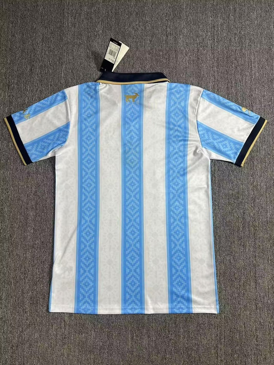 Argentina Special Edition Fans Football Jersey 2024/2025
