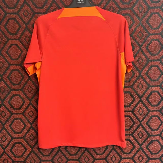 FCSB Away Fans Football Jersey 2024/2025
