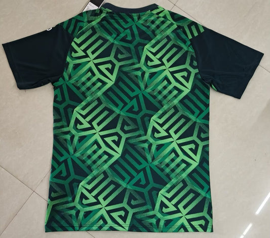 Mexico Training Special Edition Fans Football Jersey 2026/2027