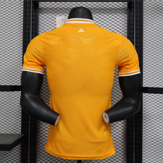 Ivory Coast Home Player Football Jersey 2025/2026