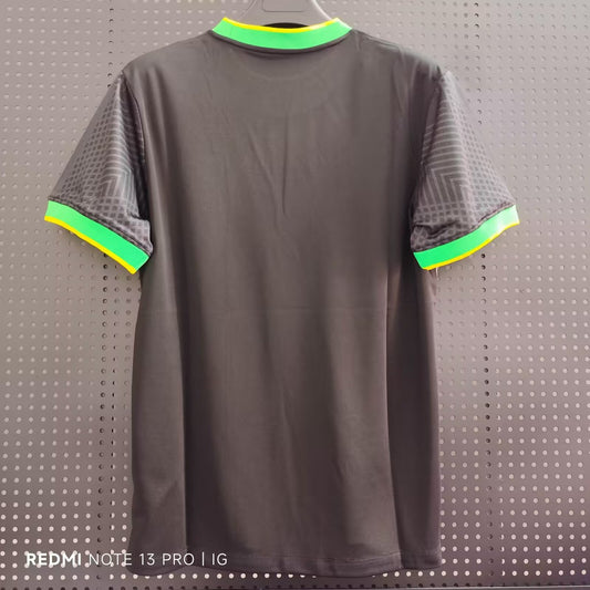 Brazil Special Edition Fans Football Jersey 2025/2026