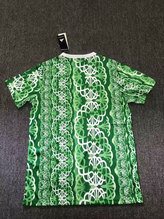Celtic Training Clothes Fans Football Jersey 2024/2025