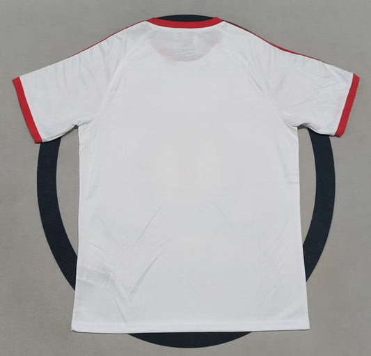 Flamengo Special Edition Fans Football Jersey 2025/2026