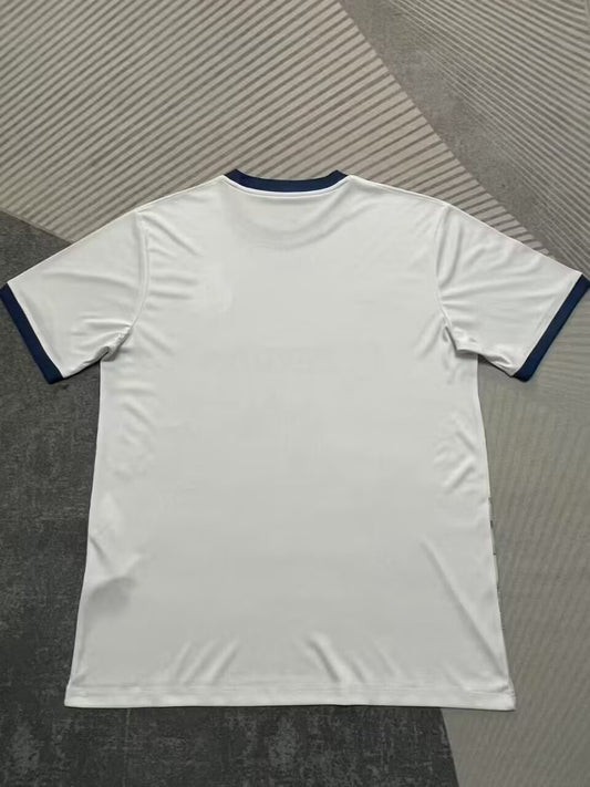 Porto Special Edition Fans Football Jersey 2025/2026
