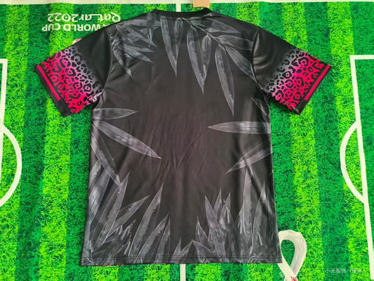 Brazil Special Edition Fans Football Jersey 2025/2026
