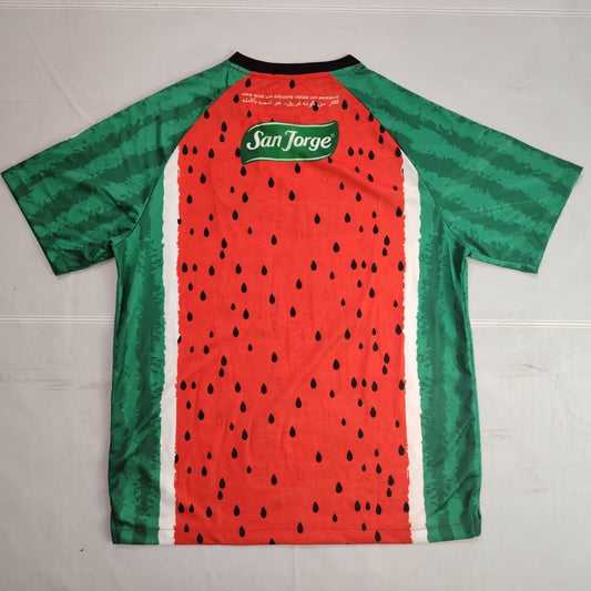 Palestine THIRD Away Special Edition Fans Football Jersey 2025/2026