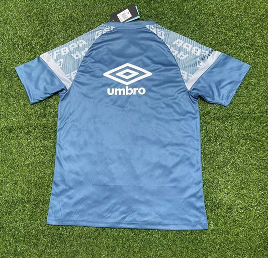Gremio Training Clothing Light Blue Fans Football Jersey 2023/2024