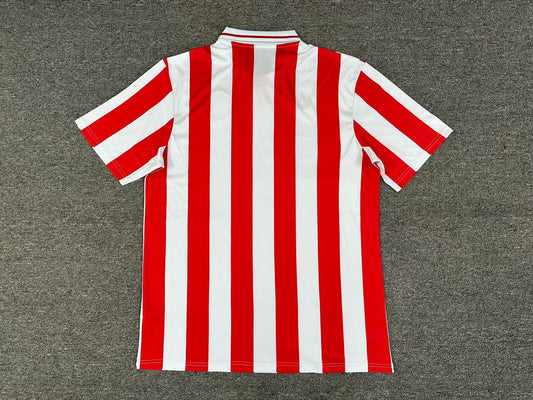 Olympiacos 100 Year Anniversary Edition Fans Football Jersey 2025/2026