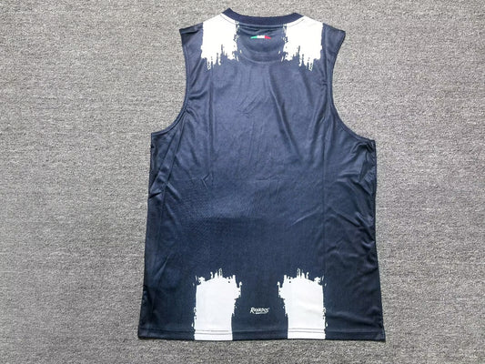 Monterrey Home FIFA Club World Cup Vest Fans Football Jersey 2025/2026