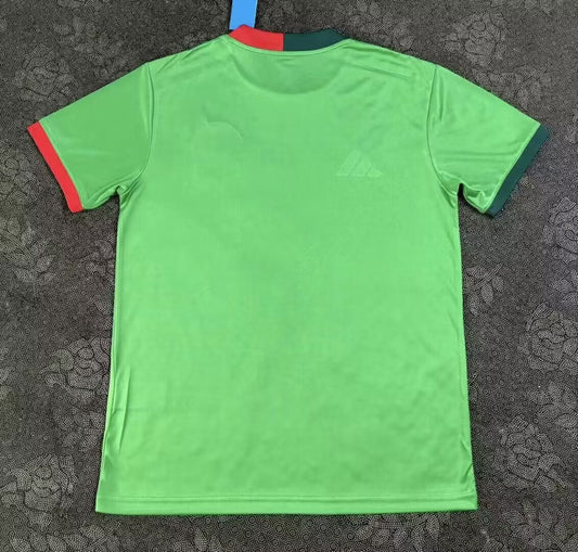Mexico Special Edition Fans Football Jersey 2025/2026