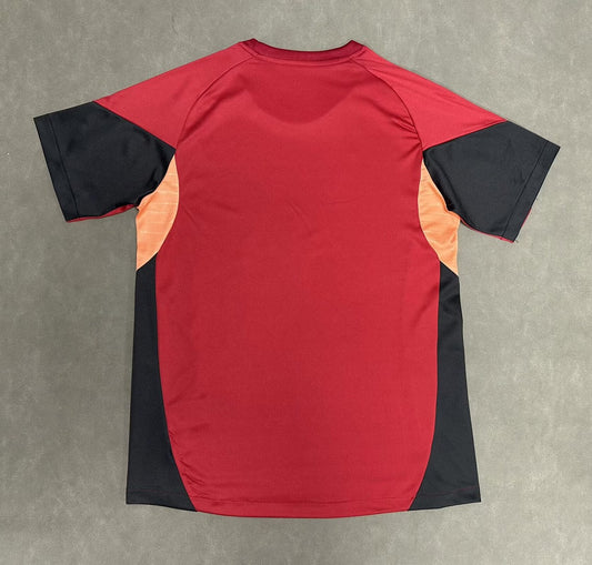 Liverpool Special Edition Fans Football Jersey 2025/2026