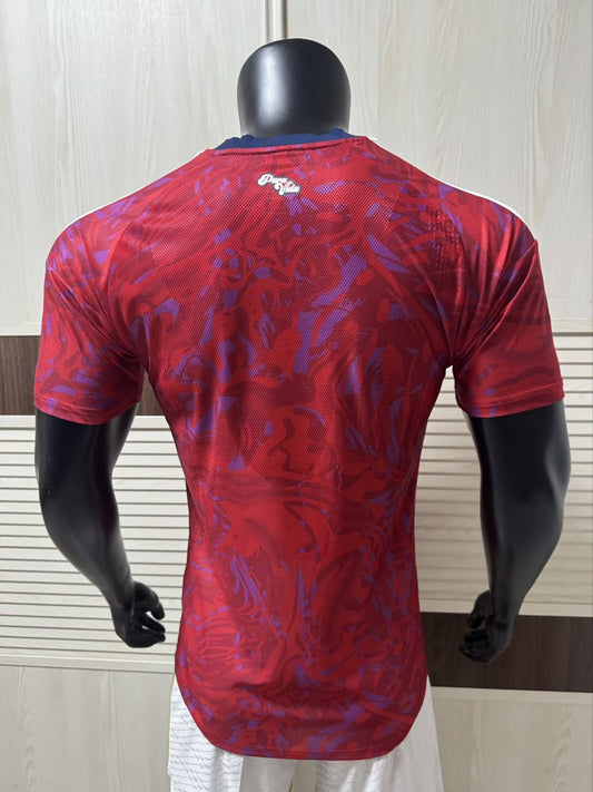 Costa Rica Home Player Football Jersey 2026/2027