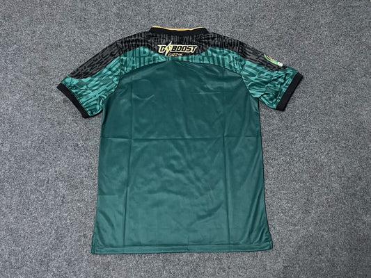 Young Africans (Tanzania) Home Fans Football Jersey 2024/2025